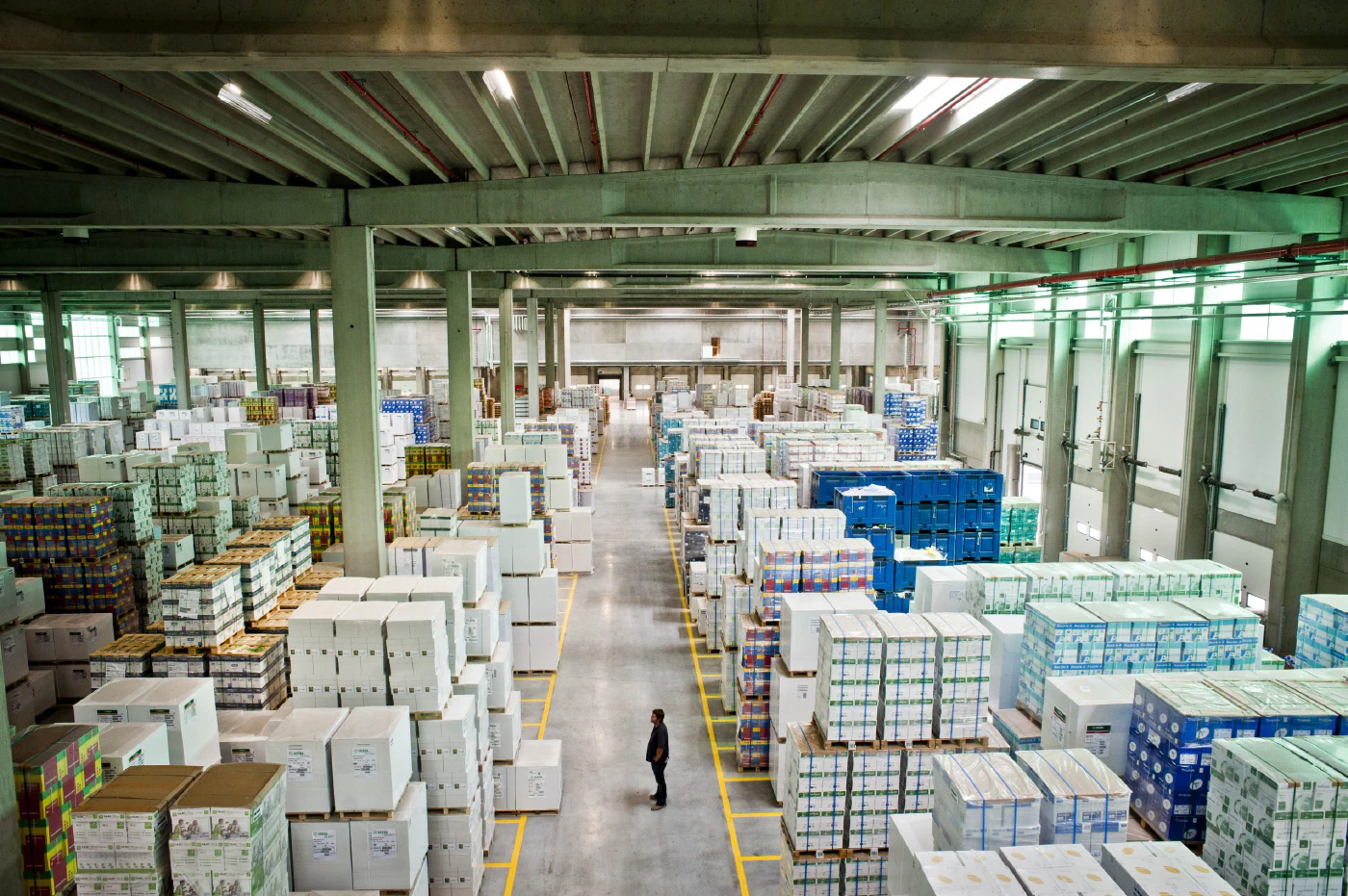 Digital strategy for IGEPA